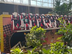 -南宫五洲植物乐园