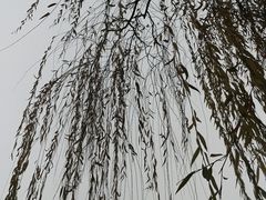 -文瀛公园