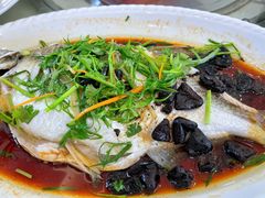 榄角蒸边鱼-麦园农庄·西江河鲜