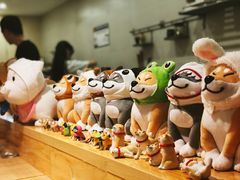 -柴务处·柴犬主题狗咖