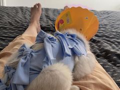 -伟伟宠物医院·CT影像中心·瑞派犬猫综合性门诊(汉口总院)