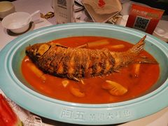 -阿五黄河大鲤鱼(英协路店)