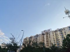 -德四家·云南傣味烧烤品牌(和谐店)