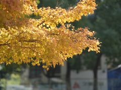 -苏州河梦清园环保主题公园