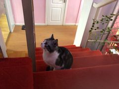 -炼呗运动康复·健身工作室(紫竹桥店)