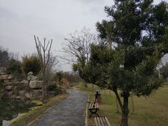 -黄陂区野村谷景区