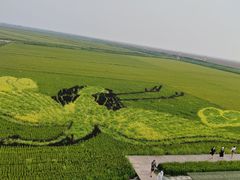 -红海滩国家风景廊道