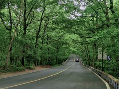 -紫金山山顶公园