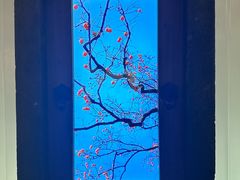 -中国湿地博物馆