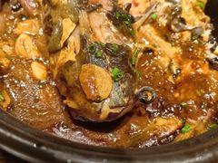 -金龙寨(解西店)