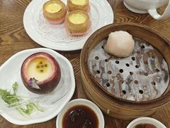 -富豪酒家(正大广场店)