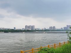 -长白岛森林公园