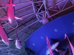 -烟台海昌鲸鲨海洋公园