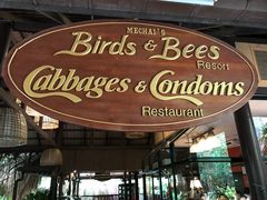 -卷心菜和避孕套餐厅(Pattaya)
