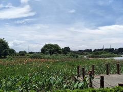 -海上田园