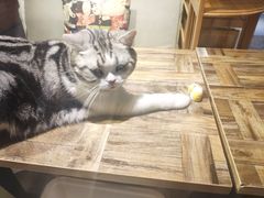-小时光咖啡馆(开森度假森林店)