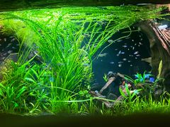 -上海海洋水族馆