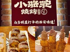 -福苗小骆驼烧烤(莲湖路店)