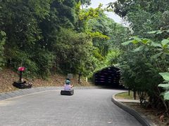 -圣淘沙天际线斜坡滑车