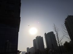 -炉鱼(萧山万象汇店)