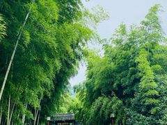 -穹窿山景区