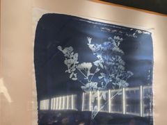 -漢舍中国菜馆(浦东嘉里城店)