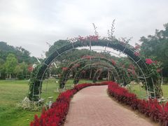 -东南花都花博园