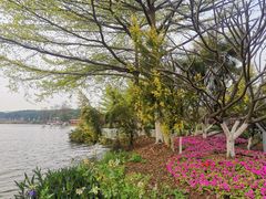 -海珠湖公园