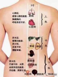-香薇妮丝女子减肥院