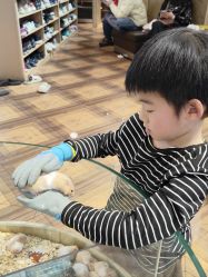 -卡通尼·Safari非洲探索乐园·生日会(金桥国际商业广场店)