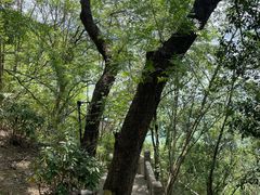 -白帝城·瞿塘峡景区