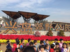 -上海长兴岛郊野公园