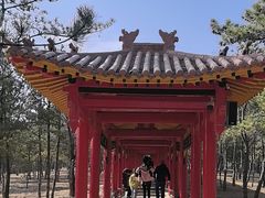 -乌素图国家森林公园