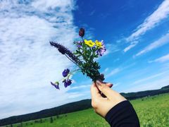 -塞罕坝国家级自然保护区