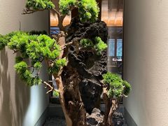 大堂-鲤院·新中式美学·庭院餐厅(夫子庙店)