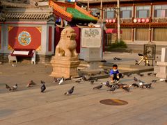 -大召寺明清一条街