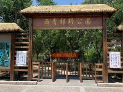 -西青郊野公园