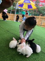 -萌宠亲子动物乐园(槐房万达店)