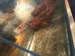 -上海枇杷烤鸭(燕丰商场店)