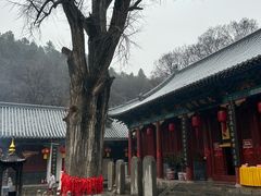 -青檀寺景区