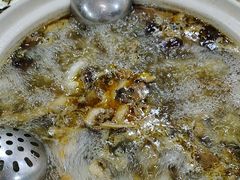 -杨记山珍鸡煲菌汤锅