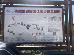 -大岭沟猕猴桃谷风景区