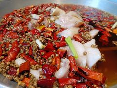 水煮鱼-红菜坊·烤鸭·川鲁菜·老二中店