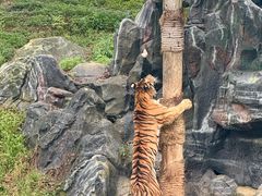 -杭州野生动物世界