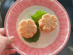 -Hi City·城市之巅