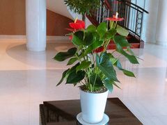 -AdD全日制餐厅(中谷花园酒店)