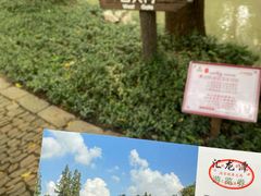 -汇龙潭