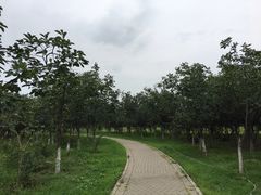 -东郊湿地公园