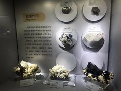 -湖南省地质博物馆