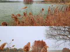 -尚湖风景区